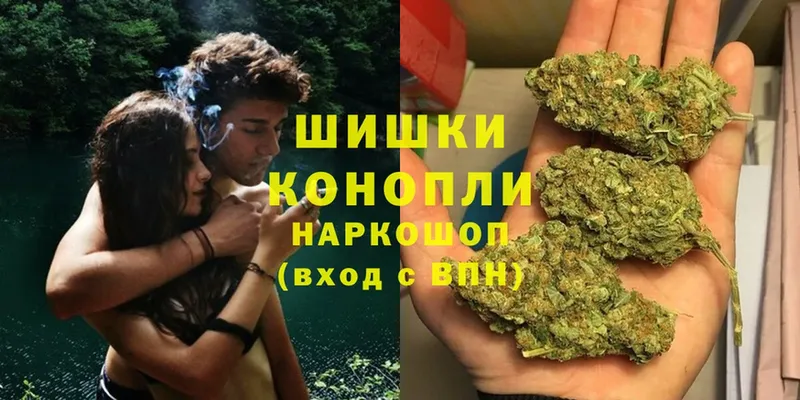 Каннабис White Widow  Мураши 